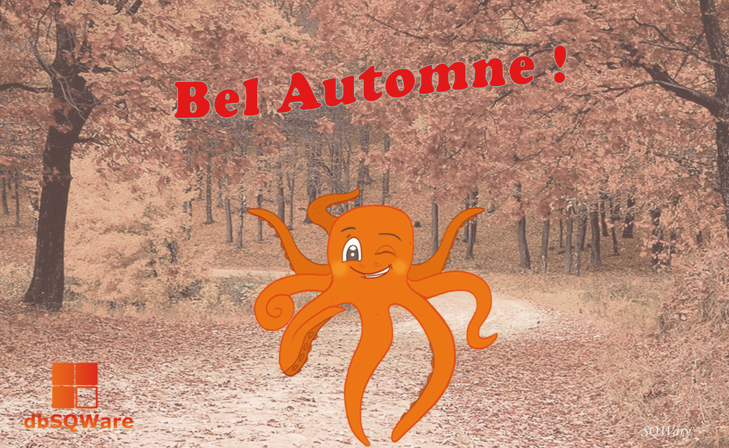 BEL AUTOMNE 2025